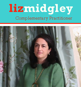 Profile picture for Liz Midgley