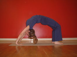 Profile picture for Ashtanga Yoga with Andrea