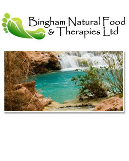 Profile picture for Bingham Natural Food & Therapies Ltd