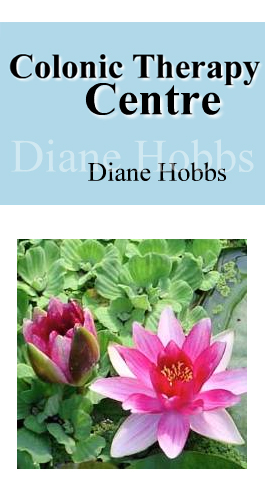 Profile picture for Diane Hobbs