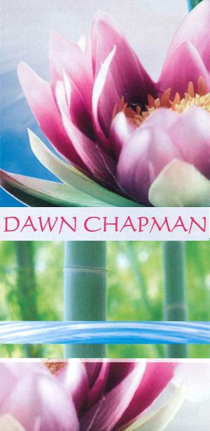 Profile picture for Dawn Chapman