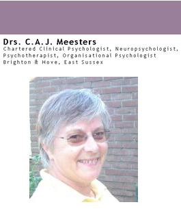 Profile picture for Dr C.A.J Meesters
