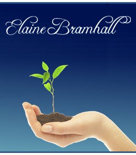 Profile picture for Elaine Bramhall