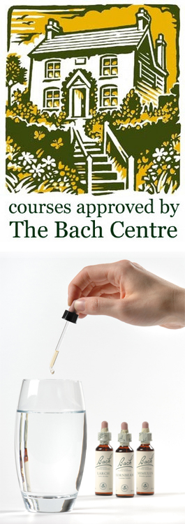 Profile picture for Bach International Education Programme c/o Nelsons