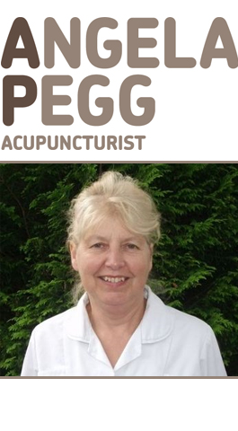 Profile picture for Angela Pegg Acupuncture and Remedial Massage
