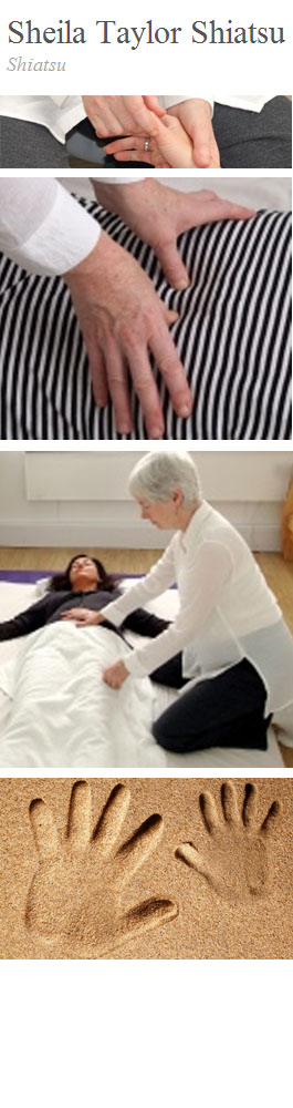 Profile picture for Sheila Taylor Shiatsu