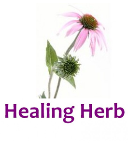 Profile picture for Healing Herb