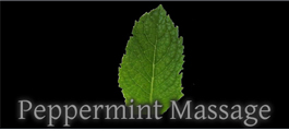Profile picture for Peppermint Massage & Skin Care