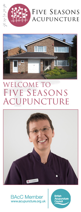 Profile picture for Five Seasons Acupuncture