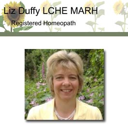 Profile picture for Liz Duffy