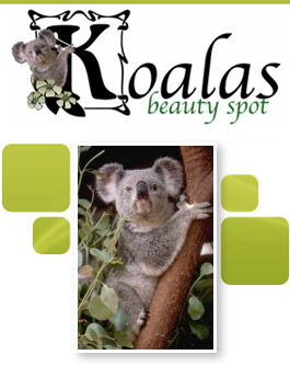 Profile picture for Koalas Beauty Spot