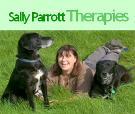 Profile picture for Sally Parrott Therapies