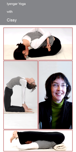 Profile picture for Iyengar Yoga With Cissy