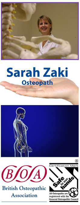 Profile picture for Sarah Zaki BSc (Hons) Osteo