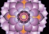 Click for more details about K.D Therapies