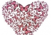 Thumbnail picture for Butterfly Healing