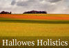Thumbnail picture for Hallowes Holistics