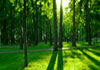 Thumbnail picture for Holistic Healthcare