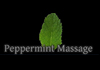 Thumbnail picture for Peppermint Massage & Skin Care
