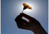 Click for more details about A Gentle Touch Holistic Therapies