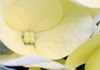 Click for more details about Natural Health NI