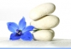 Click for more details about 12change
