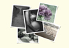 Click for more details about East of England Midwives