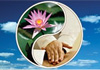 Thumbnail picture for Knead Me Massage Therapies