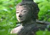 Click for more details about Learn Thai Massage in Thailand