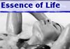 Thumbnail picture for Essence of Life