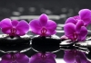 Click for more details about In Essence Complementary Therapies