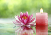 Click for more details about Improving LifeStyles