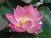 Click for more details about Well Being Oasis