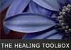 Click for more details about The Healing Toolbox
