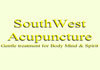 Thumbnail picture for South West Accupuncture