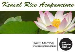 Profile picture for Kensal Rise Acupuncture