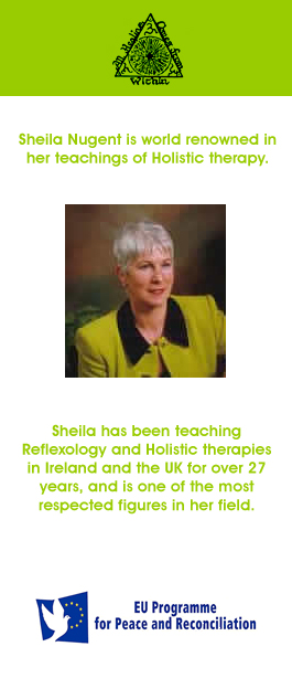 Profile picture for Chrysalis School of Reflexology