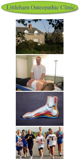 Profile picture for Littleham Osteopathic Clinic