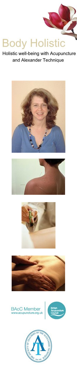 Profile picture for Body Holistic