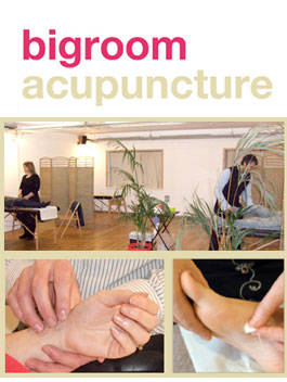 Profile picture for Bigroom Acupuncture