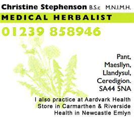 Profile picture for Christine Stephenson