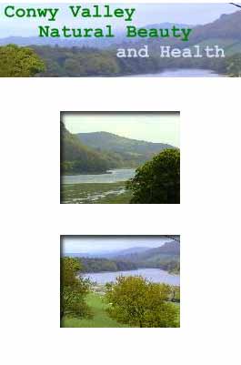 Profile picture for Conwy Valley Natural Beauty Health