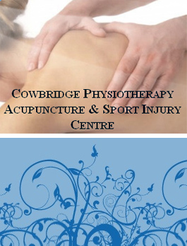 Profile picture for Cowbridge Physiotherapy Acupuncture & Sports Injury Clinic
