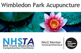 Profile picture for Wimbledon Park Acupuncture