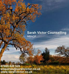 Profile picture for Sarah Victor Counselling