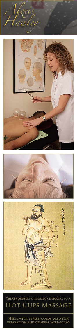 Profile picture for Alexis Hawley Acupuncture