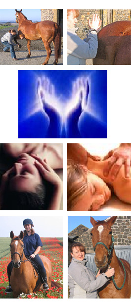 Profile picture for Massage MFR