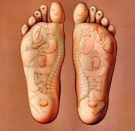 Profile picture for Reflexologist