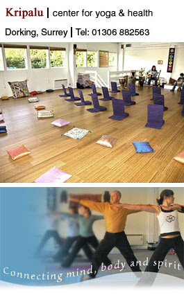 Profile picture for The Kripalu Yoga Centre