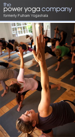 Profile picture for The Power Yoga Company
